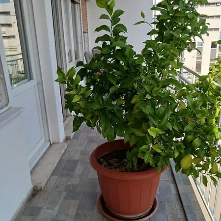 With Private Toilet And Terrace In Center In Shared Lejlighed Split